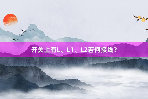 开关上有L、L1、L2若何接线？
