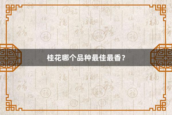 桂花哪个品种最佳最香？