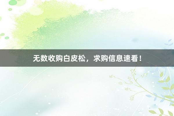 无数收购白皮松，求购信息速看！