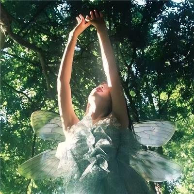 卢卡斯兄弟搬家公司第二季